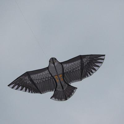 Estivol-2021