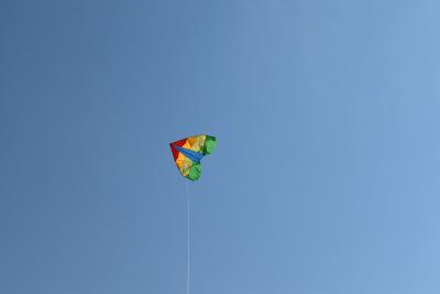2024 cerf volants