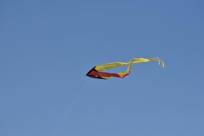 Dsc 0029