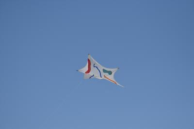 Dsc 0048